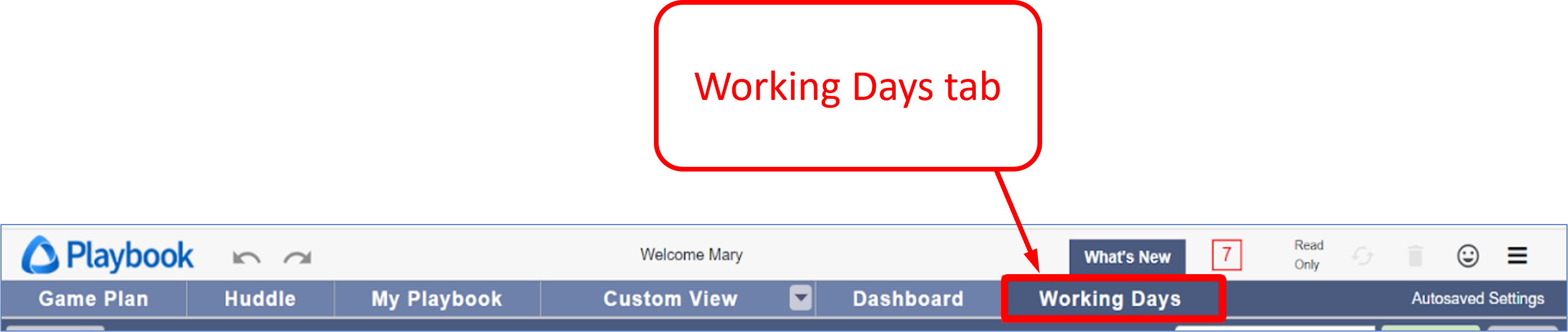 Playbook NonWorking Days & Days Off